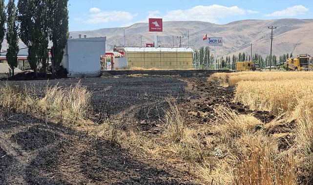 Elazığ'da 23 dönüm buğday, yanarak kül oldu