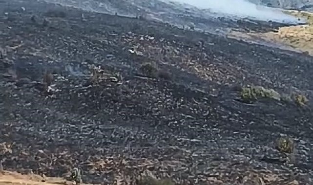 Elazığ'da arazi yangını