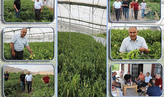 Elazığ'da bahçe ve sera alanlarında inceleme