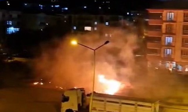 Elazığ'da ot yangını söndürüldü