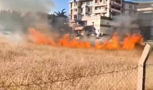 Elazığ'da otluk alanda çıkan yangın büyümeden söndürüldü