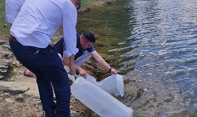 Emet'te baraj ve göletlere 40 bin 700 aynalı sazan balığı yavrusu bırakıldı