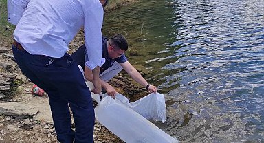 Emet'te baraj ve göletlere 40 bin 700 aynalı sazan balığı yavrusu bırakıldı