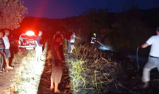 Erdek'te böğürtlenlik alanda çıkan yangın söndürüldü