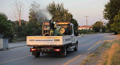 Erenler'de ilaçlama çalışmaları titizlikle sürüyor