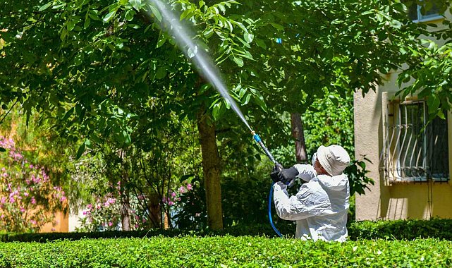 Esenyurt Belediyesi'nden ağaçlara teke böceği kalkanı