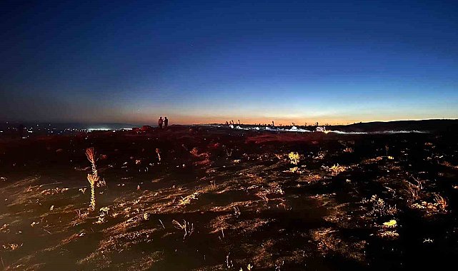 Eskişehir'de çıkan yangın ormana sıçramadan söndürüldü