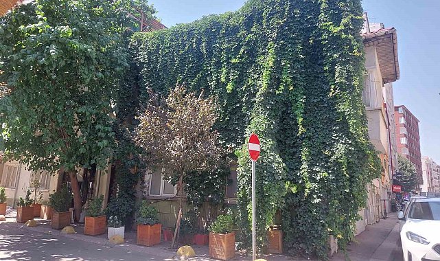 Eskişehir'de doğa, evle bütünleşti