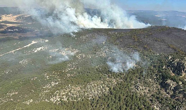 Eskişehir'deki yangına 2'nci gününde müdahale devam ediyor