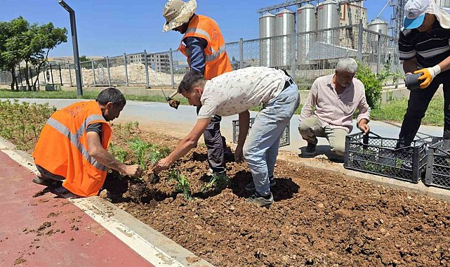 Eyyübiye'nin Çiçekleri Eyyübiye Serakent'ten
