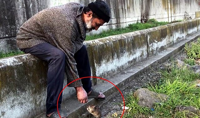 Farelerle dostluğu ile bilinen adam, otobüs durağında ölü bulundu