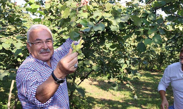 Ferrero'ya 'yasak' geldi