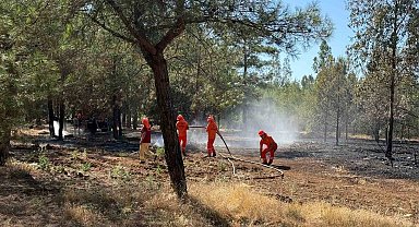 Fethiye'deki yangının etrafı çevrildi