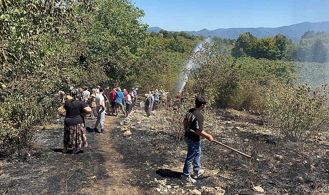 Fındık bahçesinde temizlerken bir dönüm alan zarar gördü