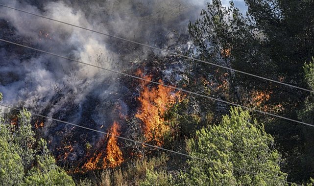 Fransa'daki orman yangınında yaralananların sayısı 110'a yükseldi