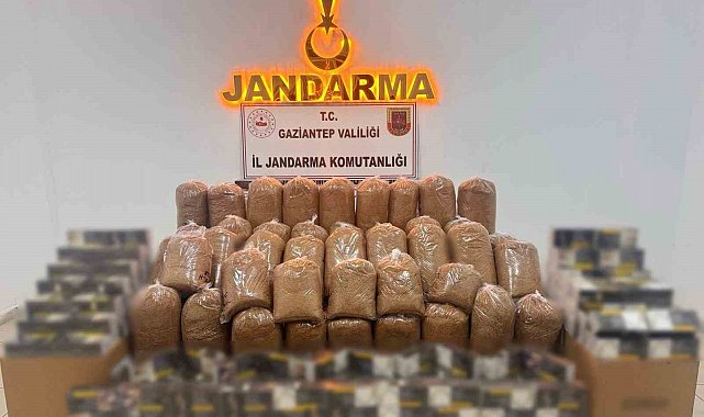 Gaziantep'te kaçak tütün operasyonu: 2 gözaltı