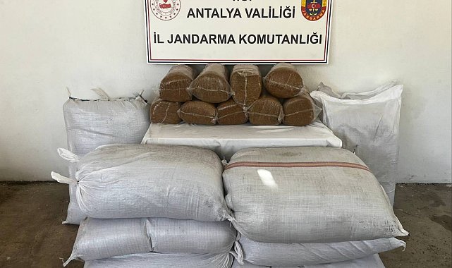 Gazipaşa'da 800 kilo bandrolsüz tütün ele geçirildi