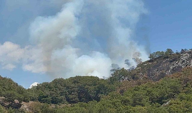 Gazipaşa'da ormanlık alanda yangın
