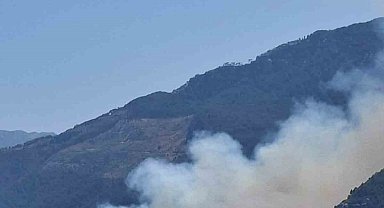 Gazipaşa'da ormanlık alanda yangın