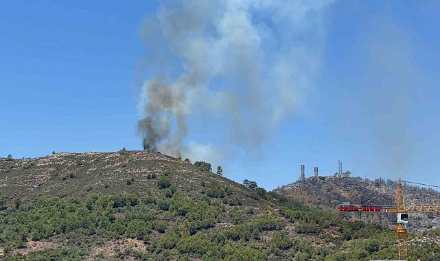 Gazipaşa'da ormanlık alandaki yangın kontrol altına alındı