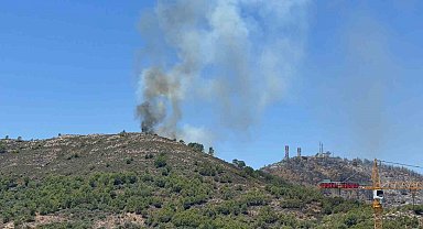 Gazipaşa'da ormanlık alandaki yangın kontrol altına alındı