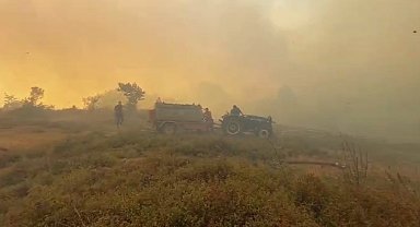 Gebze'deki orman yangınını söndürme çalışmaları sürüyor