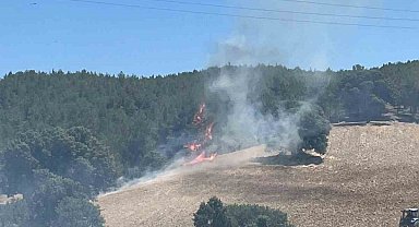 Gediz'de ekiplerin orman yangınıyla mücadelesi sürüyor