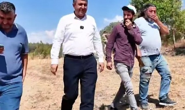 Gediz'de hasat coşkusu başladı, Başkan Akel çiftçilerin yanında