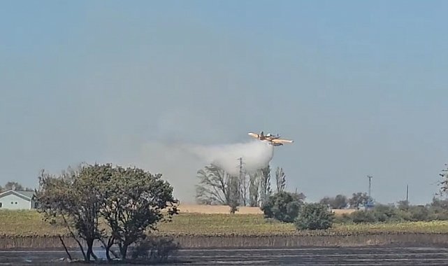 Gelibolu'da tarım arazisinde çıkan yangın kontrol altına alındı