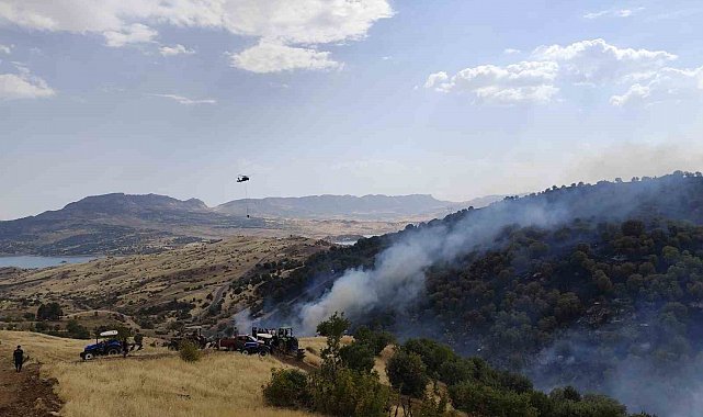 Gerger'de orman yangını: Alevler yerleşim alanlarına yaklaştı
