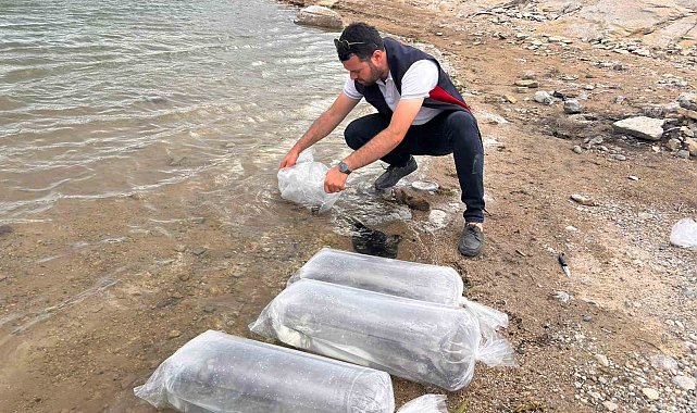 Gölhisar Gölü ve Yapraklı Barajı'na 5 bin yayın ve sazan balığı bırakıldı