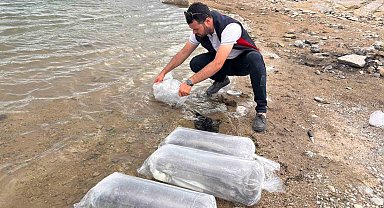 Gölhisar Gölü ve Yapraklı Barajı'na 5 bin yayın ve sazan balığı bırakıldı