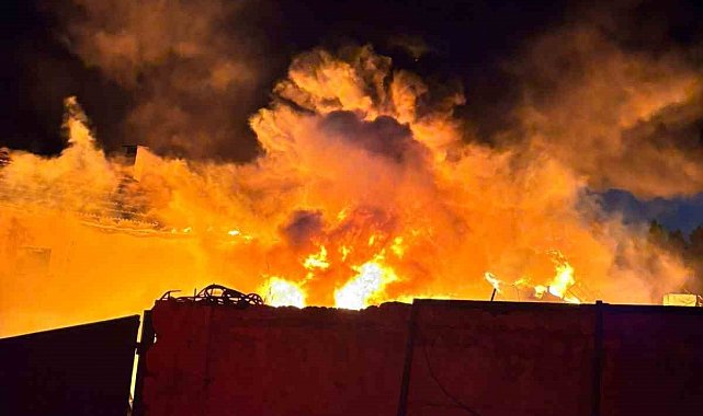 Gömeç'te hurdalık yangını korkuttu