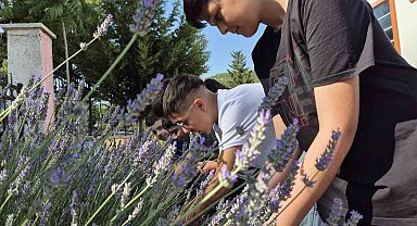 Gönüllü gençler lavanta hasadında buluştu