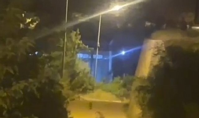 Gümüşhane'de ayı şehir merkezinde görüntülendi