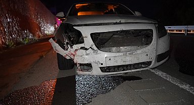Gümüşhane'de otomobilin çarptığı ayı telef oldu