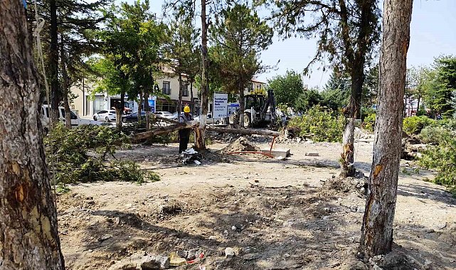 Gürhan Albayrak'tan CHP'li belediyelere sert tepki: "Güzelim ağaçlardan ne istediniz?"