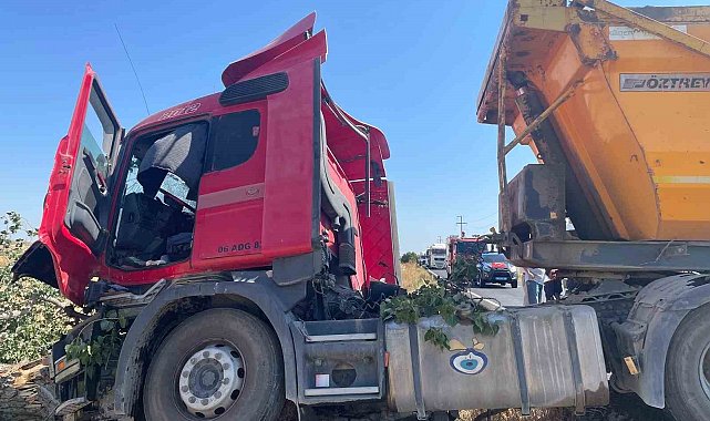 Hafriyat kamyonu ağaca çarptı: 2 yaralı