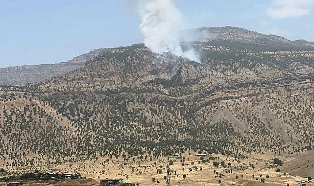 Hakkari'de orman yangını