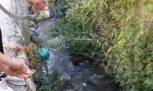 Hakkari'de toprak evin tavanına yuva yapan yılanlar doğaya salındı