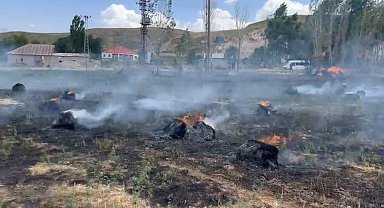 Hakkari'de yaklaşık bin 500 bağ ot kül oldu