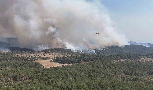 Harmancık Meyrandağı'ndaki yangın dronla böyle görüntülendi