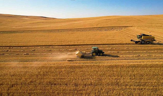 Hasatta hem kuraklık hem yangın riski: Çiftçiye çifte uyarı