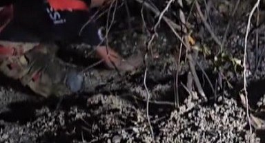 Hatay'da çıkan orman yangını kısa sürede kontrol altına alındı