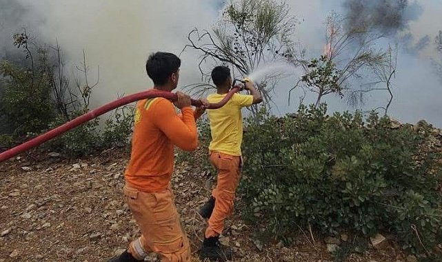 Hatay'da çıkan orman yangını kısa sürede kontrol altına alındı