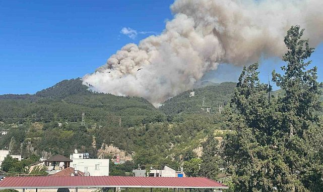 Hatay'da orman yangını