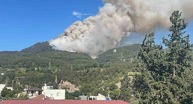 Hatay'da orman yangını