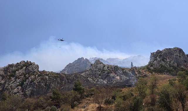 Hatay'da orman yangını