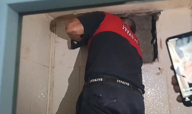 Havalandırma boşluğunda mahsur kalan yavru kedi kurtarıldı