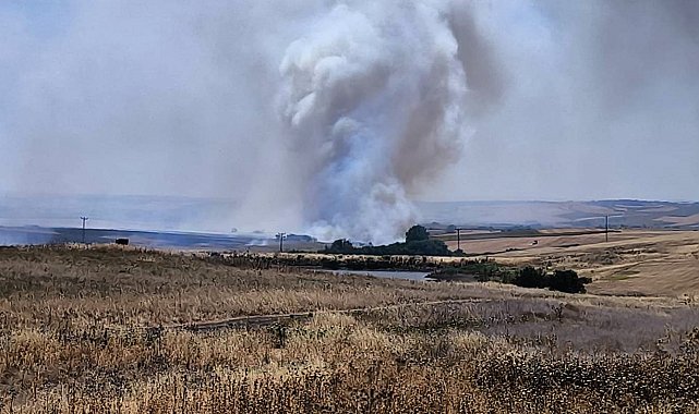 Hayrabolu'da çıkan anız yangını söndürüldü